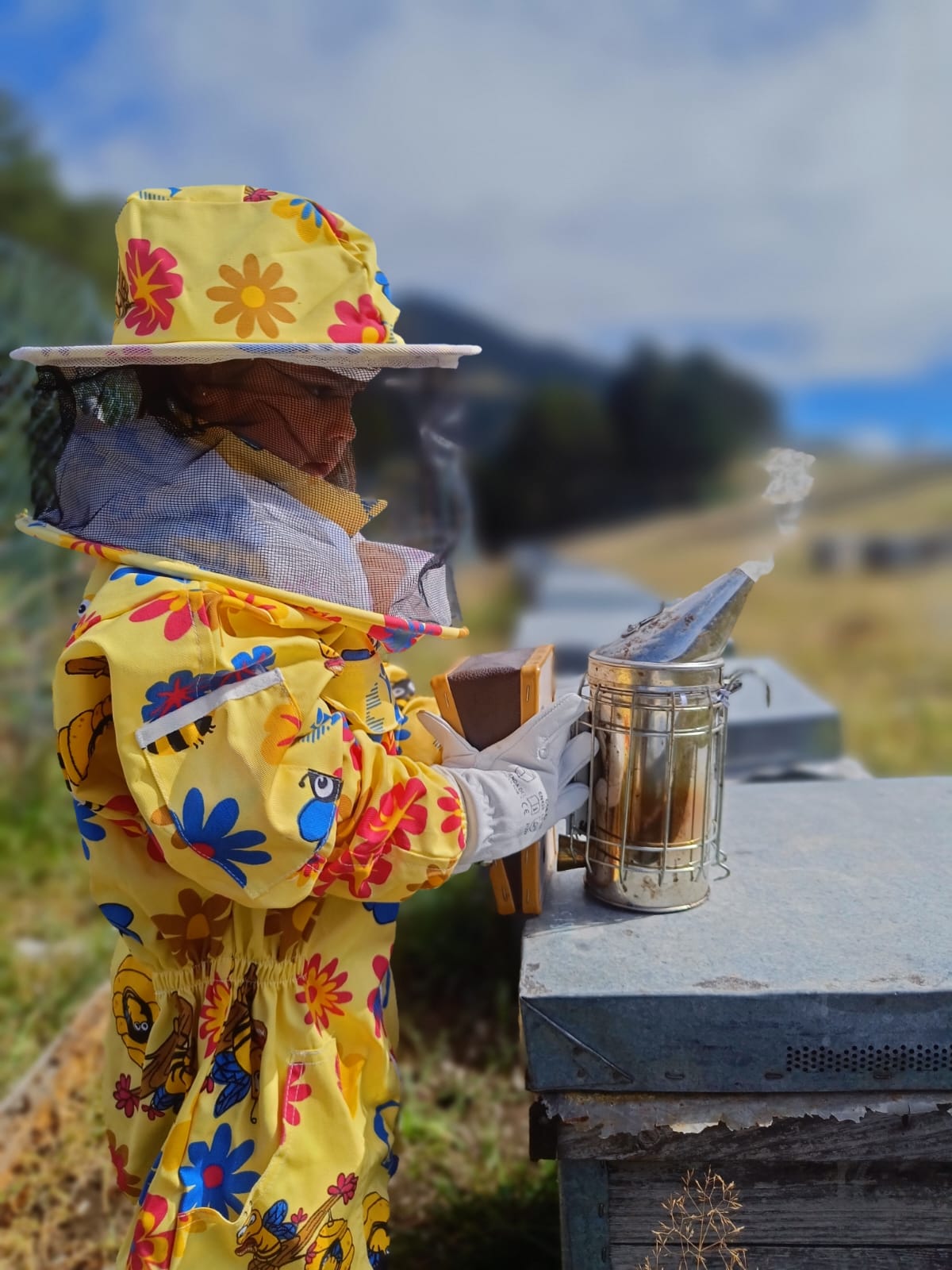 Beekeeper checking hives